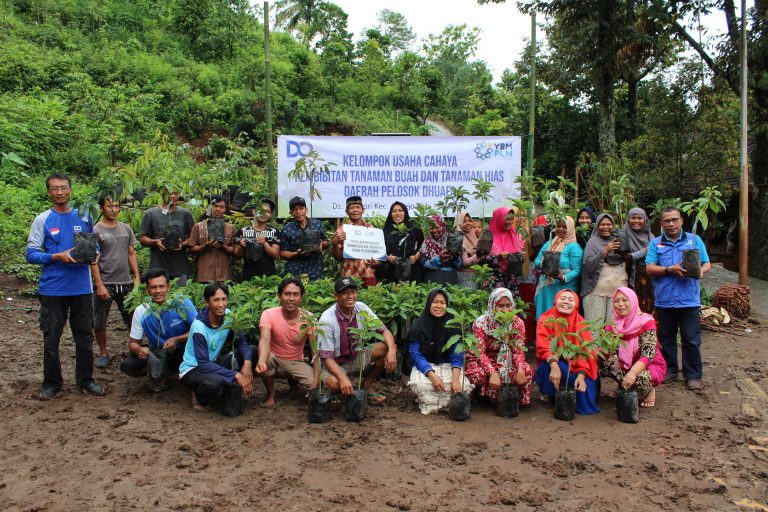 Penyaluran Bibit Tanaman Buah dan Hias Daerah Pelosok Dhuafa – Kolaborasi DQ dan YBM PLN