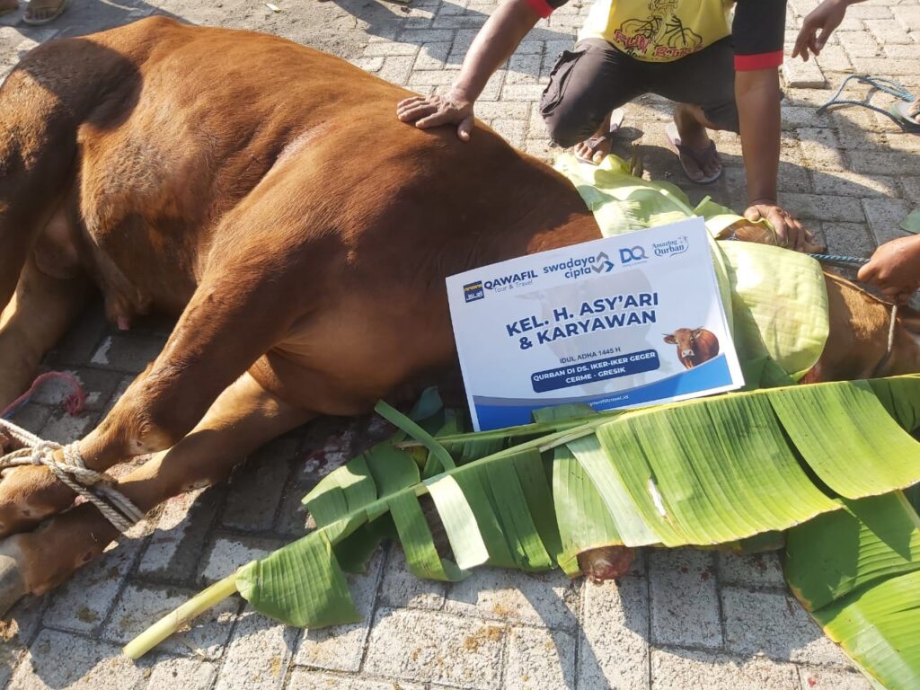 qurban untuk orang tua