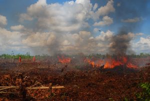 Dompet Alquran Indonesia Serahkan Bantuan Bencana Karhutla