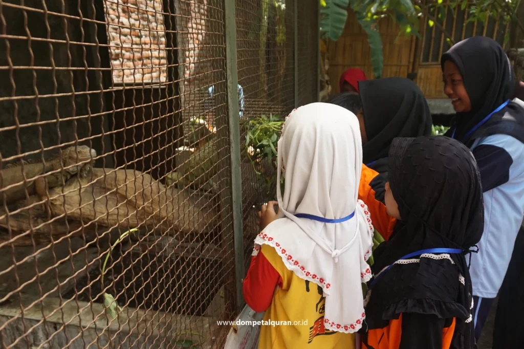 Edukasi dan Memberi Makan Iguana