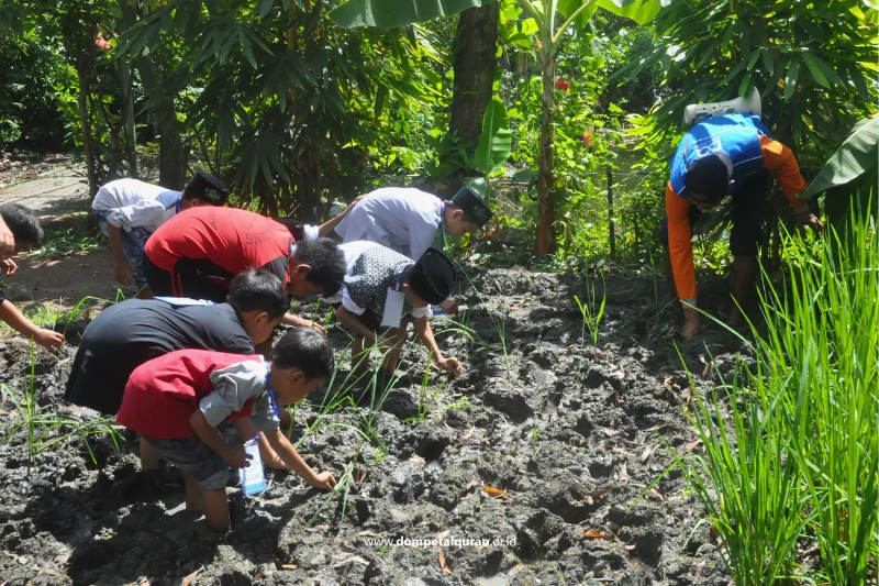 Wisata Edukasi Tanam Padi